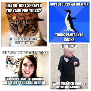 Examples of some of the memes Lafleche Giasson made to promote awareness for TickEncounter in a funny and relatable way.